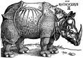 Rinoceronte, 1515, xilogravura de Albrecht Drer.