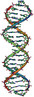 O modelo de Watson e Crick para a estrutura do DNA.