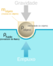 Impulso ou empuxo  a fora hidrosttica resultante exercida por um fluido (lquido ou gs) em condies hidrostticas sobre um corpo que nele esteja imerso. A impulso existe graas  diferena de presso hidrosttica do corpo, visto que esta  proporcional  densidade (massa especfica) do lquido,  acelerao da gravidade, e  altura de profundidade. <br> Conta Vitrvio que o sbio grego Arquimedes o descobriu enquanto tomava banho, quando procurava responder a Hiero II, rei de Siracusa, se sua coroa era realmente de ouro puro.<br>  Hiero, assim que se tornou rei de Siracura, mandou fazer uma coroa de ouro, para ofertar aos deuses imortais. Para isso, contratou um homem e ofereceu-lhe uma grande quantidade de ouro; na data prevista, o homem trouxe-lhe a coroa executada na perfeio, que tinha o mesmo peso do ouro fornecido.1 <br> Porm, correram rumores de que parte do ouro havia sido subtrado, e substitudo por prata.2 Hiero ficou indignado com a fraude, e sem saber como o roubo poderia ser descoberto, passou o problema para Arquimedes.<br>  Um dia, enquanto tomava banho na banheira, Arquimedes observou que,  medida que seu corpo mergulhava na banheira, a gua transbordava, descobrindo o mtodo para a soluo do problema.2 De to contente que estava saiu da banheira e foi para a rua gritando a famosa expresso que, em grego quer dizer descobri, achei, encontrei:<br>"Eureka, Eureka! (εὑρηκα)"  Arquimedes <br> Assim, pegou duas massas de ouro e prata, com o mesmo peso da coroa, e um vasilhame de gua, cheio at a borda. Mergulhou e retirou a massa de prata, completando em seguida o volume, medindo a quantidade de gua necessria para encher o vasilhame. Em seguida, fez o mesmo com o ouro, observando que precisava de menos gua para encher desta vez.<br>  Por fim, inseriu a coroa na gua.4 Esta derramou mais gua do que o ouro e menos do que a prata.4 Arquimedes pode ento calcular quanta prata havia sido misturada, na coroa, ao ouro, e pode desvendar o mistrio da coroa e desmascarar o vilo.<br> Para compreender, lembre-se que tanto a coroa, quanto o pedao de ouro e quanto o pedao de prata utilizados por Arquimedes tinham todos a mesma massa. Entretanto, como a densidade do ouro  maior do que a da prata, o pedao de ouro ocupa um volume menor que o pedao de prata de mesmo peso. Se o pedao de ouro possui menor volume, ento o mesmo deslocou um volume menor de gua do que o pedao de prata. A coroa, sendo feita de uma mistura de ouro e prata, possua uma densidade mdia entre o ouro e a prata.