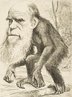 Caricatura de Charles Darwin apresenta a caracterstica de sua teoria evolucionista presente na obra "Origem das Espcies". <br><br> Palavras-chave: Darwin, darwinismo, evoluo, evolucionismo, teoria da evoluo, origem das espcies, primata, caricatura, cincia, filosofia da cincia 